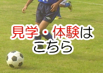 ���w�E�̌��͂�����